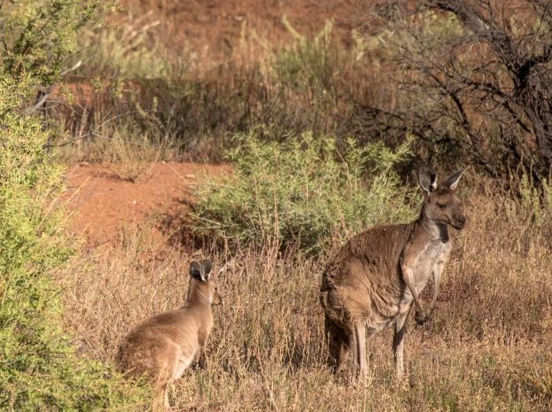 Discover 7 calming destinations in the Australian wilderness