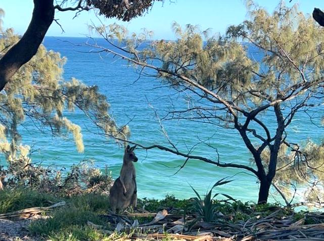 Serene spots to discover across Australia
